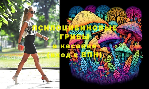 стафф Абинск
