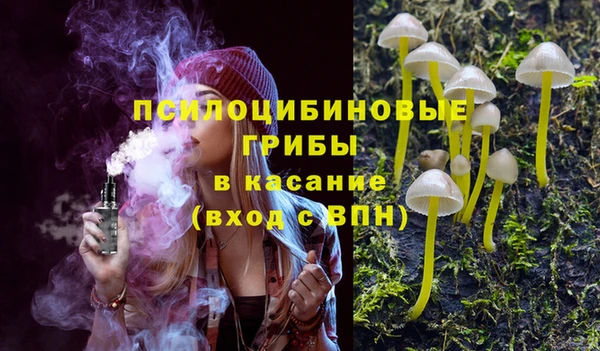 стафф Абинск