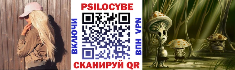 наркошоп  Нестеровская  kraken зеркало  Галлюциногенные грибы Psilocybine cubensis 